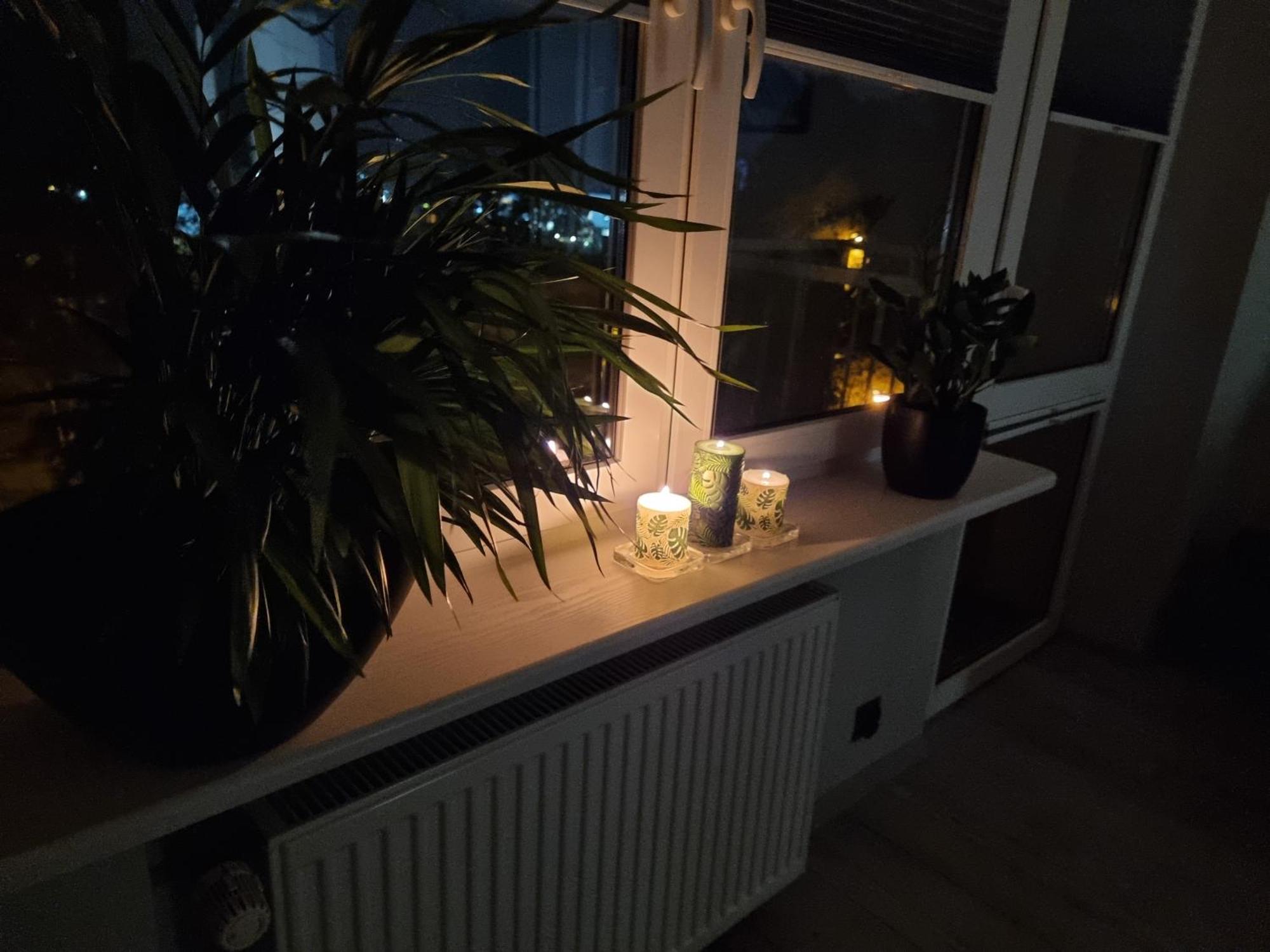 66 Mrowka Apartment *