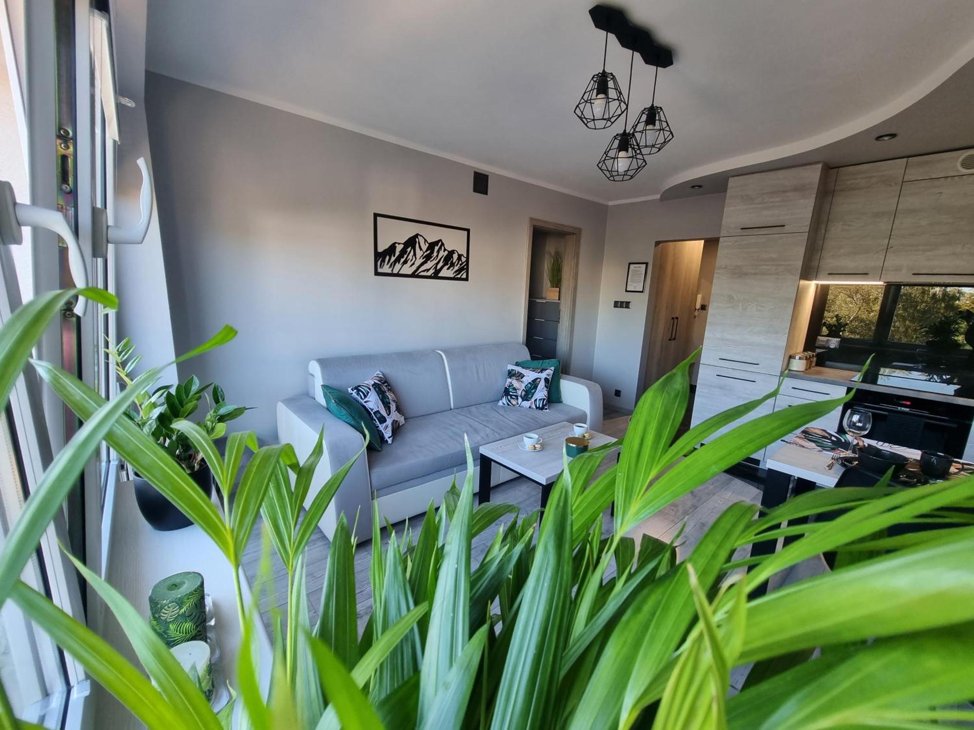 Apartment 66 Mrowka *