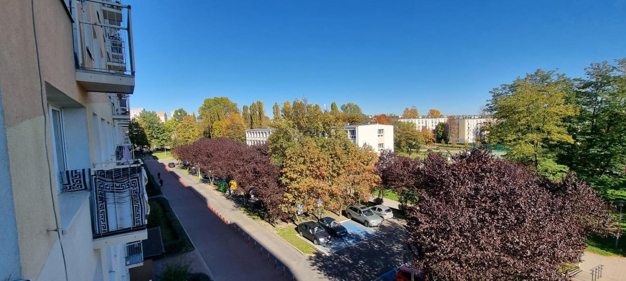 66 Mrowka * Czestochowa